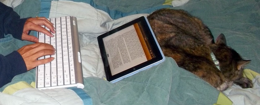cat and iPad