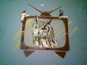 owl TV